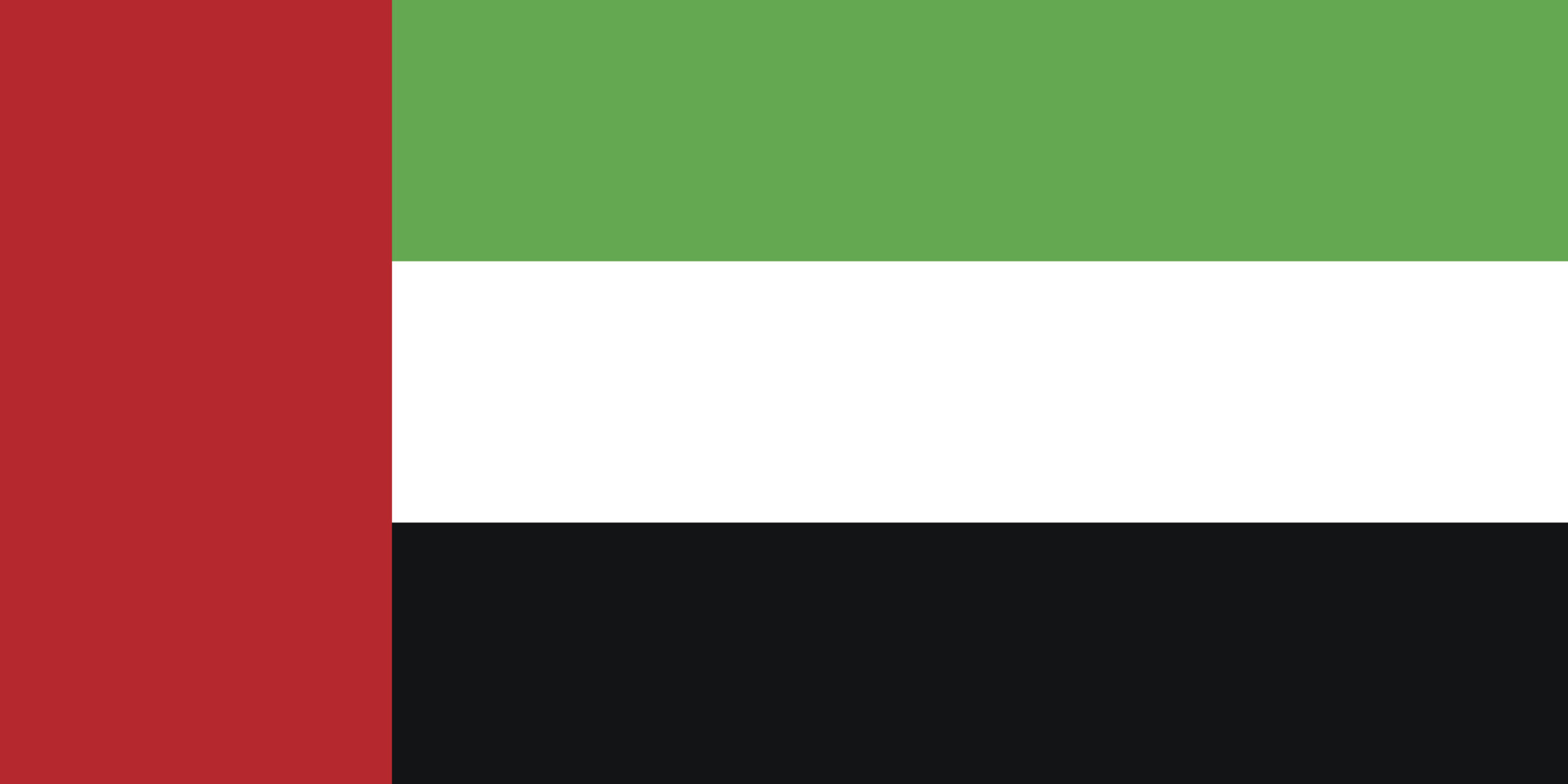 UAE Flag